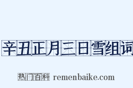 辛丑正月三日雪组词是什么意思的图片